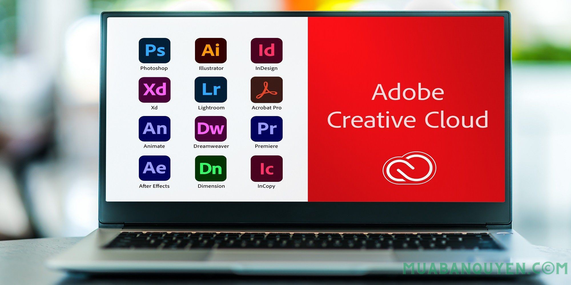 Adobe Full App bản quyền ✔️1 năm ✔️Add Family ✔️Cấp acc